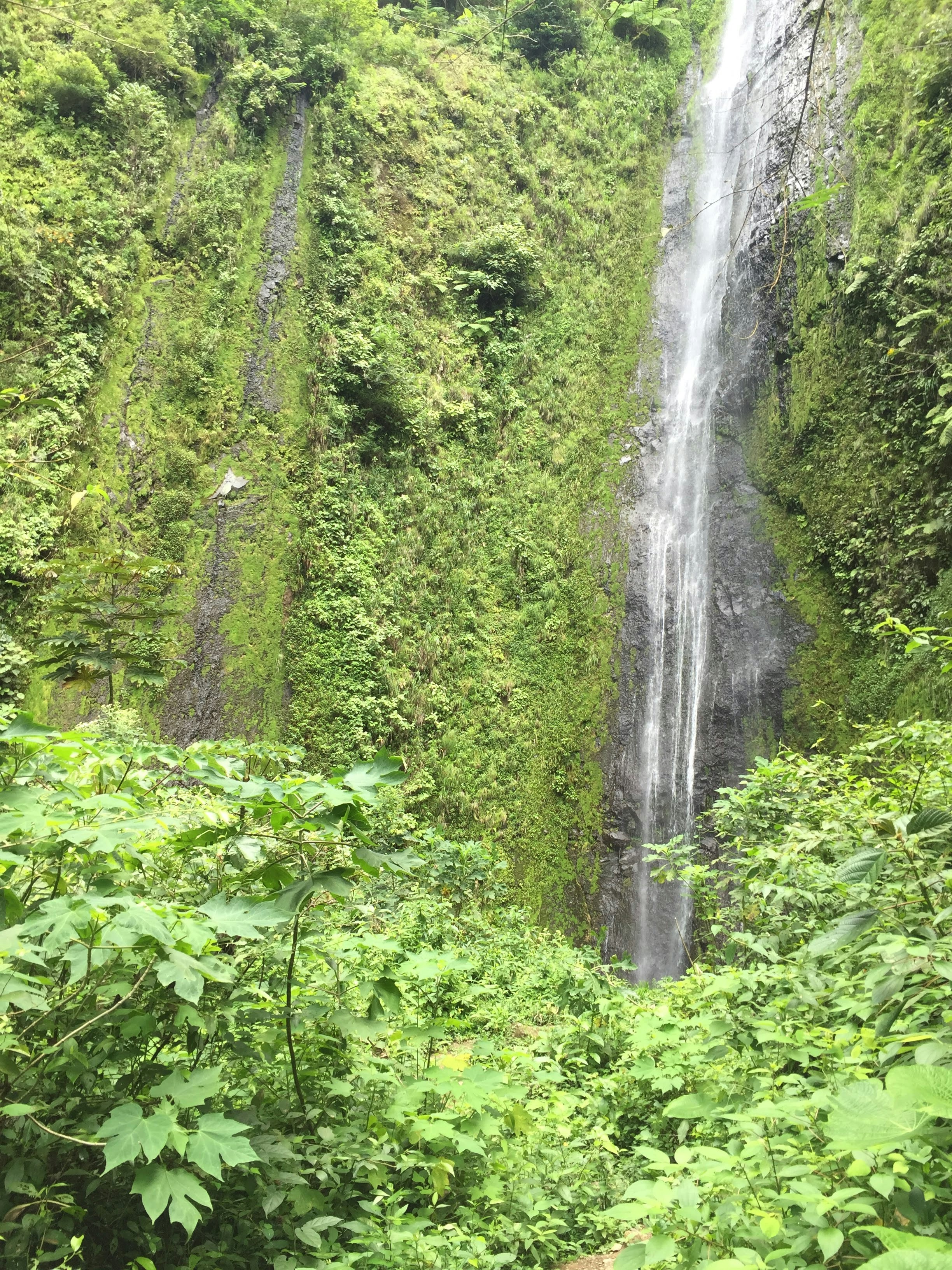 Photo by spontraveous