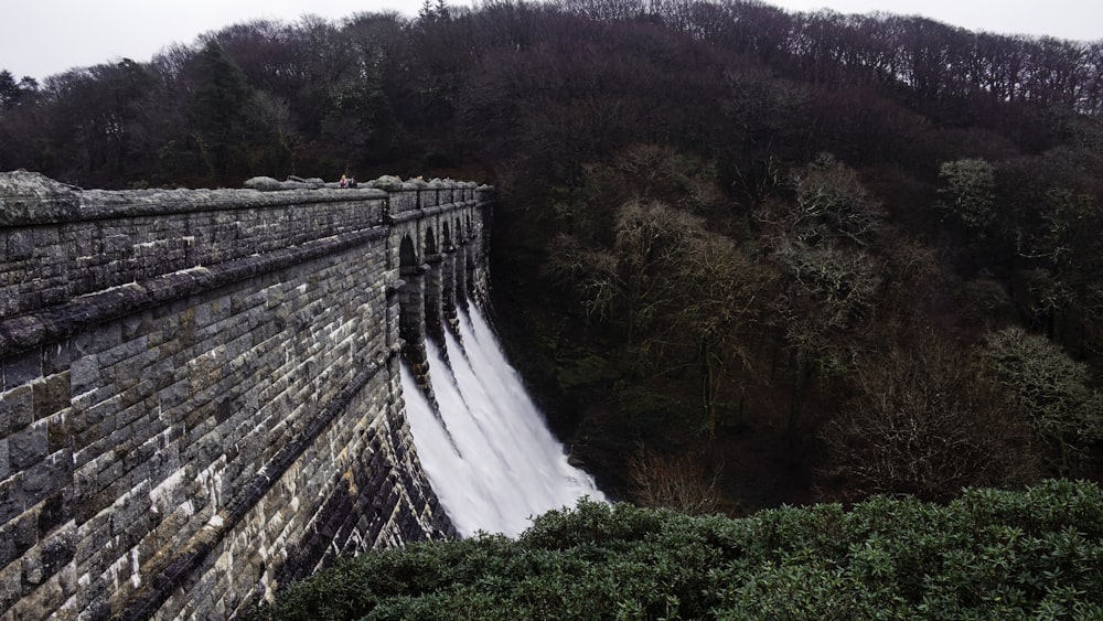 a large waterfall in the middle of a forest