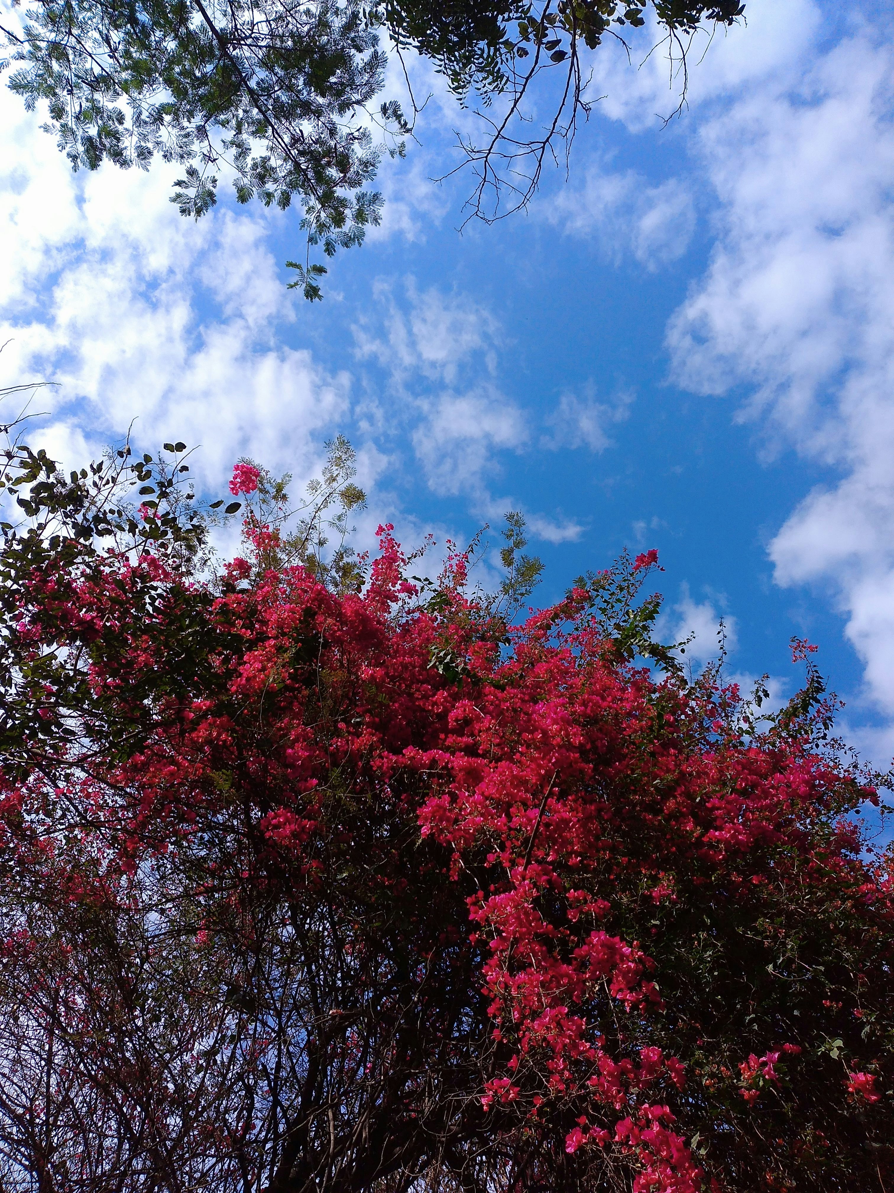 Photo by yogita_choudhary