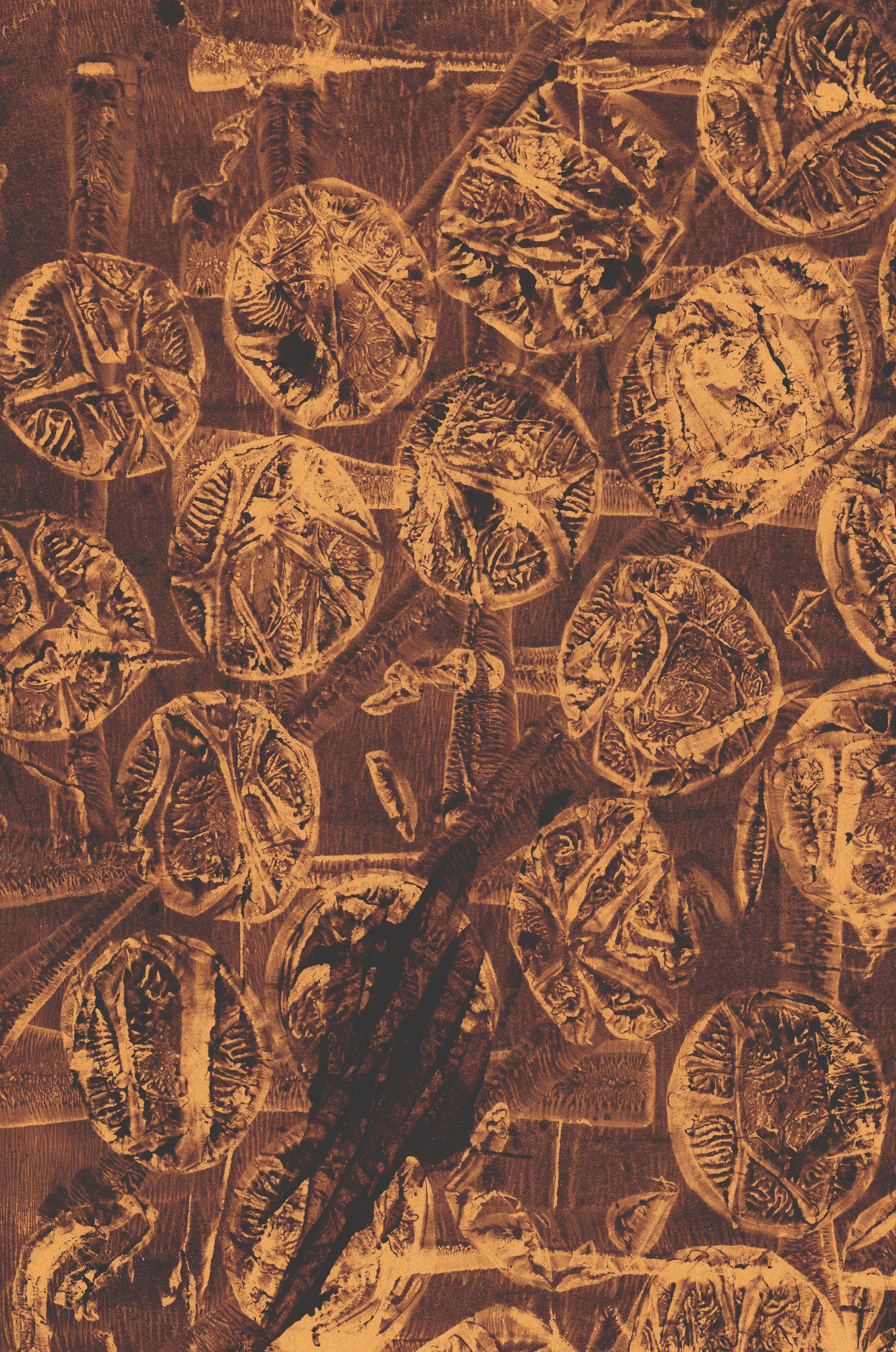 Photo by heathergreengreen