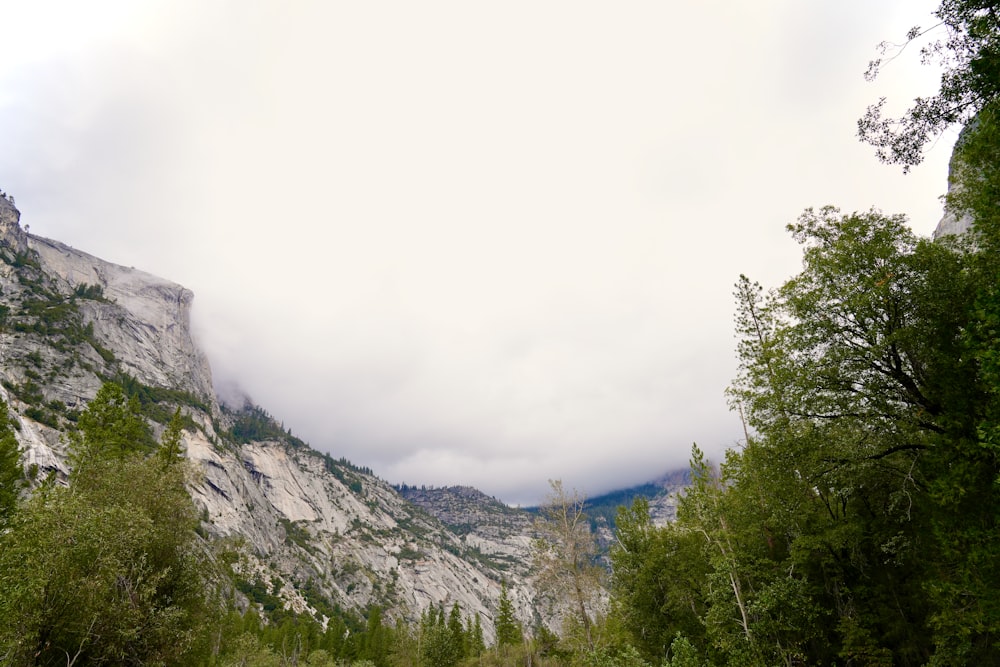 une vue d’une montagne avec des arbres et un ciel nuageux