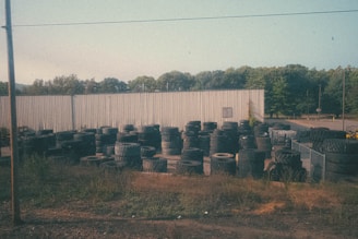 A large number of tires are stacked and scattered around an outdoor area with an industrial-looking metal building in the background. The setting includes overgrown grass and weeds around the edges, and several trees are visible beyond the building. The sky is clear with a pale blue hue.