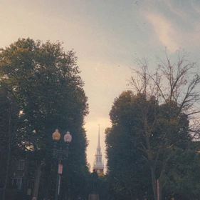 Pilgrims walking along a quiet path lined with ancient trees, bathed in soft morning light.