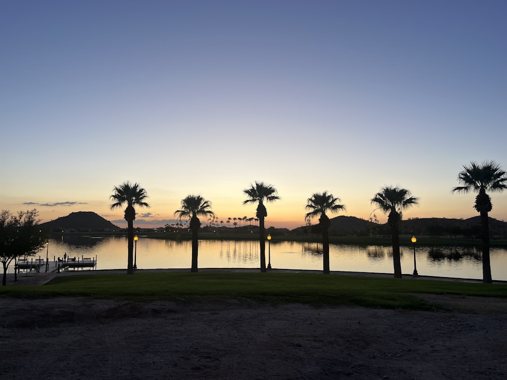 palm trees are silhouetted against a sunset over a lake