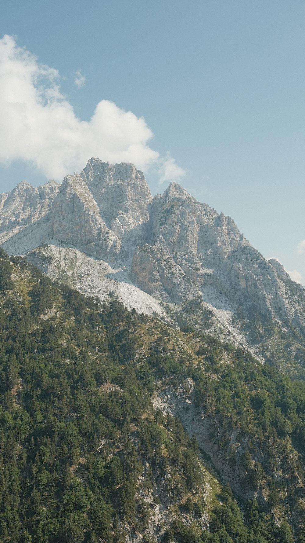 a mountain covered in trees under a blue sky