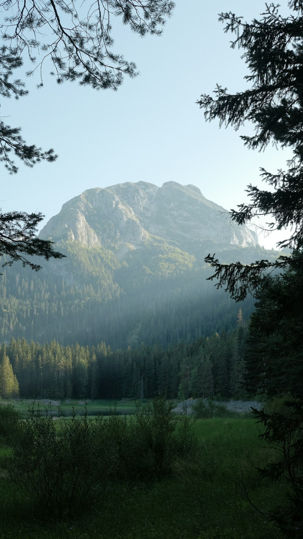 une vue d’une chaîne de montagnes à travers quelques arbres