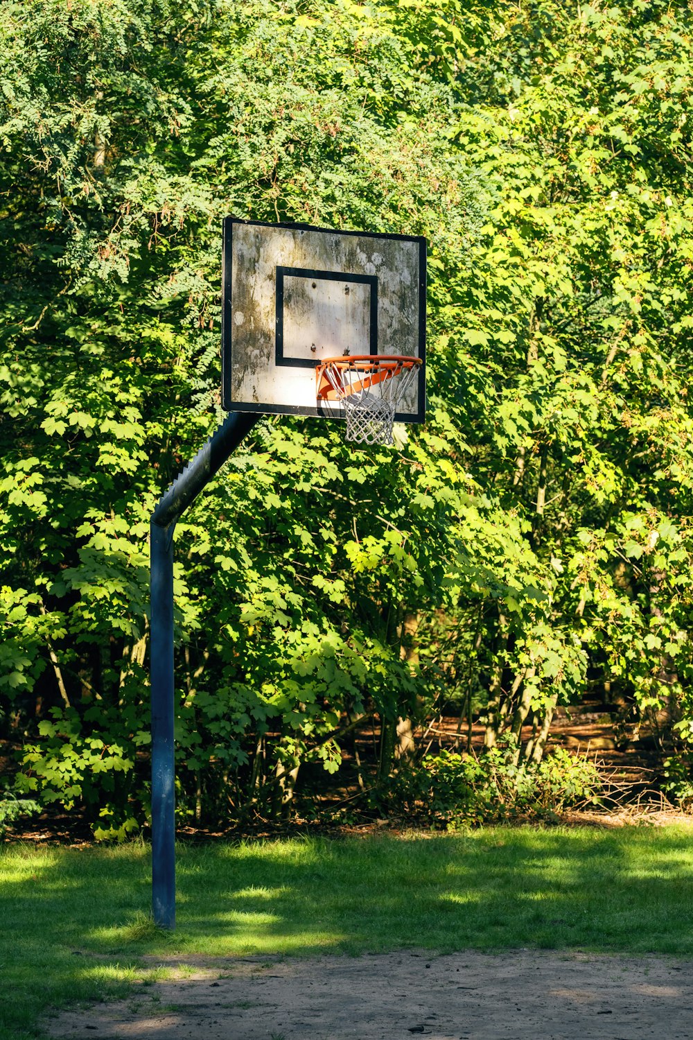 a basketball hoop in front of some trees