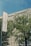 A modern building with 'Tilburg University' signage is partially obscured by lush green trees. A university flag stands in the foreground waving gently, reflecting the location's identity. The sky is clear and blue, adding to the serene academic atmosphere.