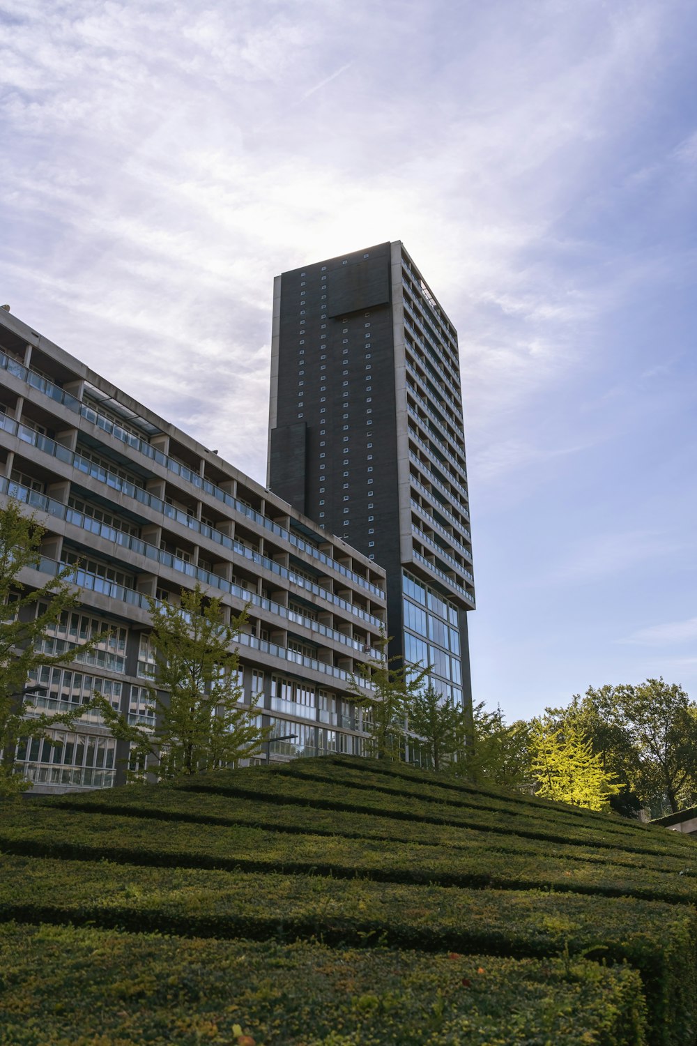 a very tall building sitting next to a lush green park