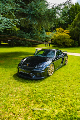 A sleek black luxury car gleaming under Miami sunlight, with a subtle gold detailing brush beside it.
