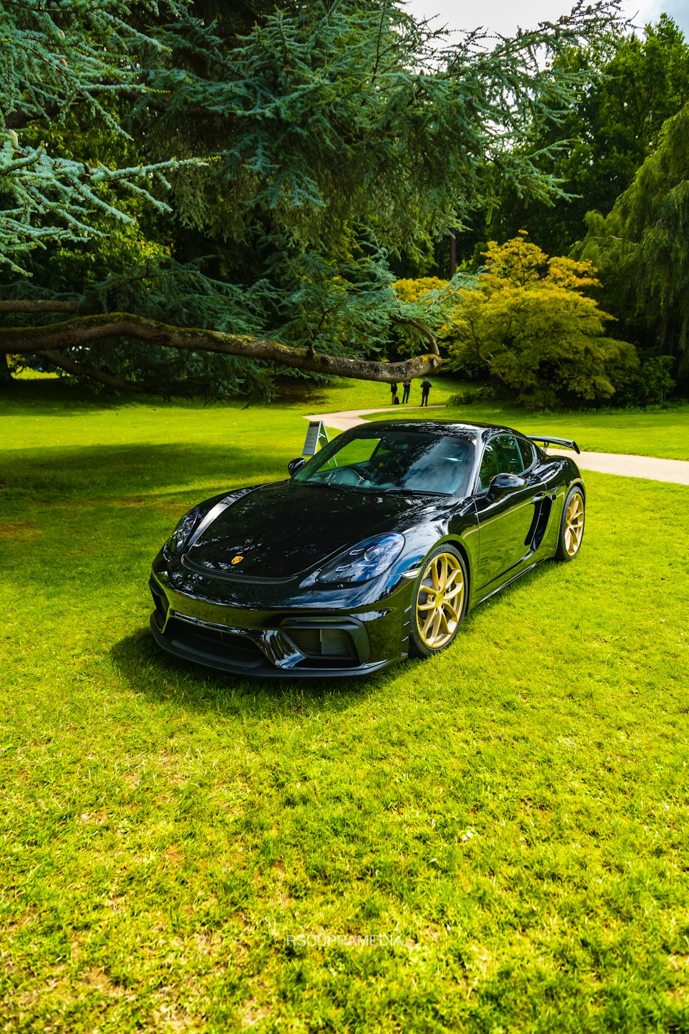 a black sports car parked on top of a lush green field