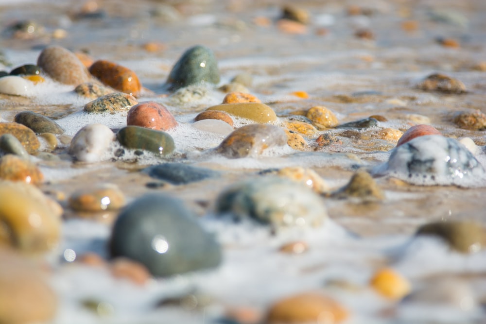 ein Haufen Steine, die im Wasser sind