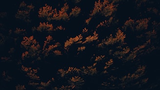 A vibrant burnt orange and forest green home project in progress.