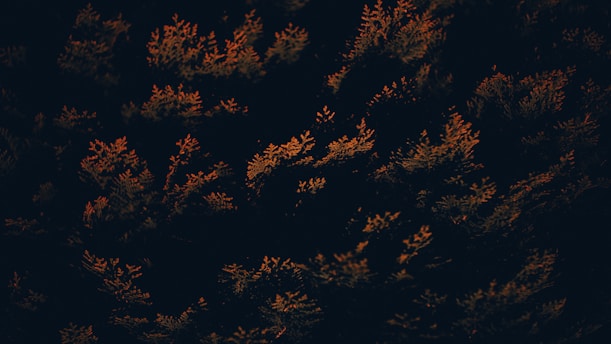 A vibrant burnt orange and forest green home project in progress.