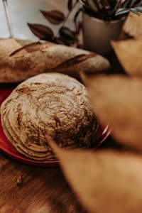 Sourdough Starter Kit