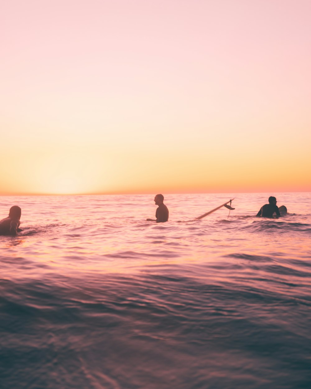 a group of people swimming in the ocean at sunset