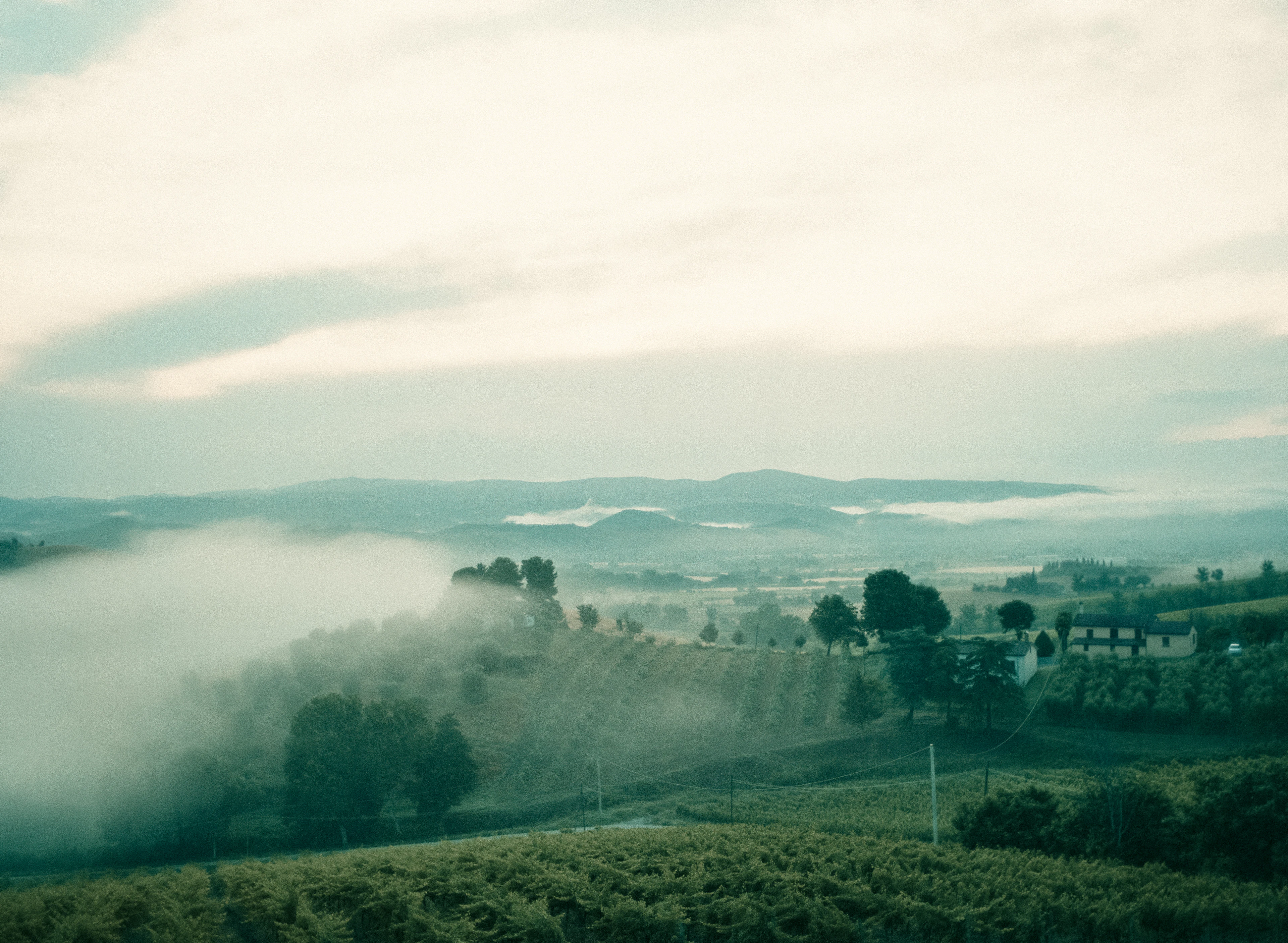 La valle sotto il podere all'alba, con la nebbia ferma sul fondo e le colline in controluce.