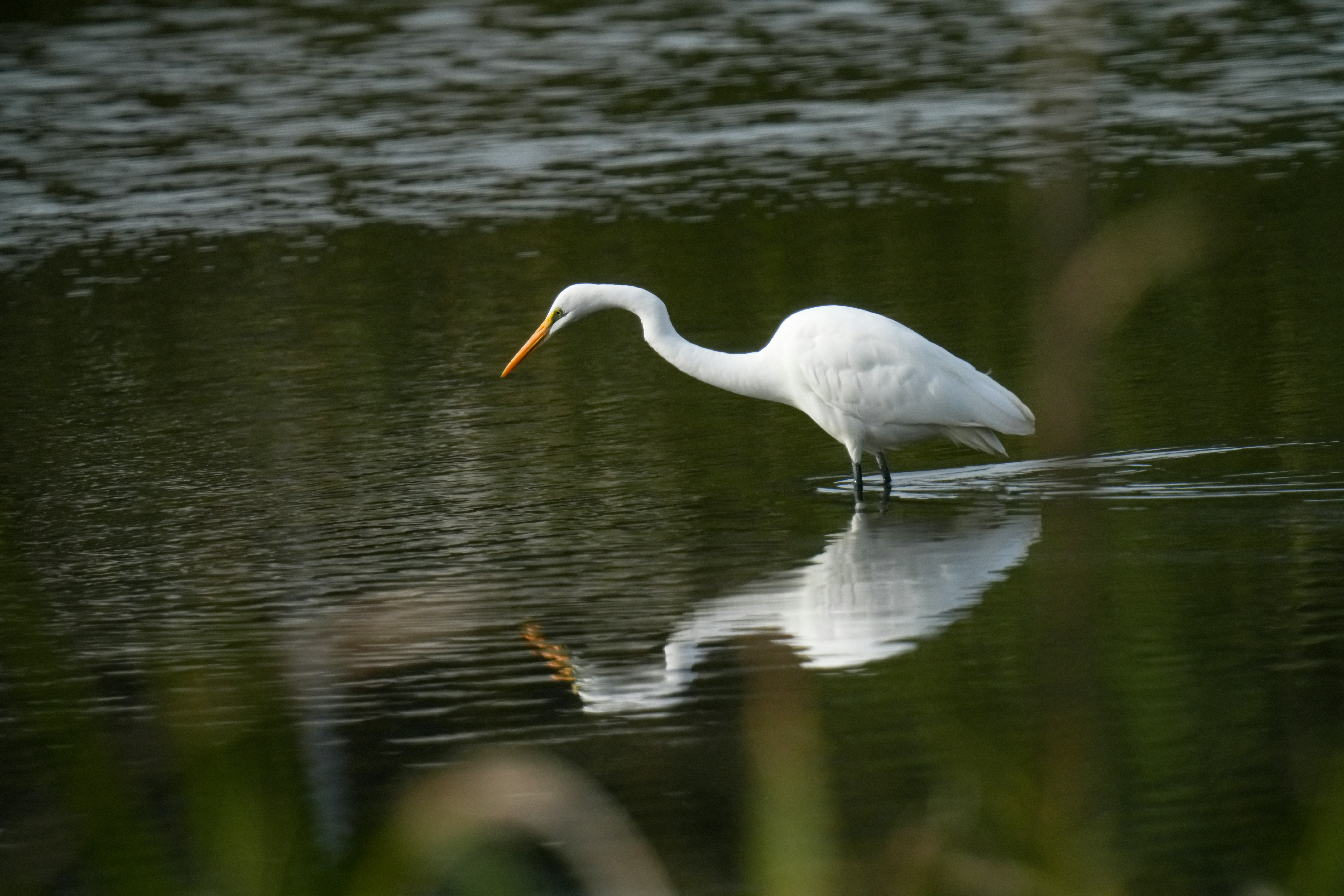 Photo by kim_dae_jeung