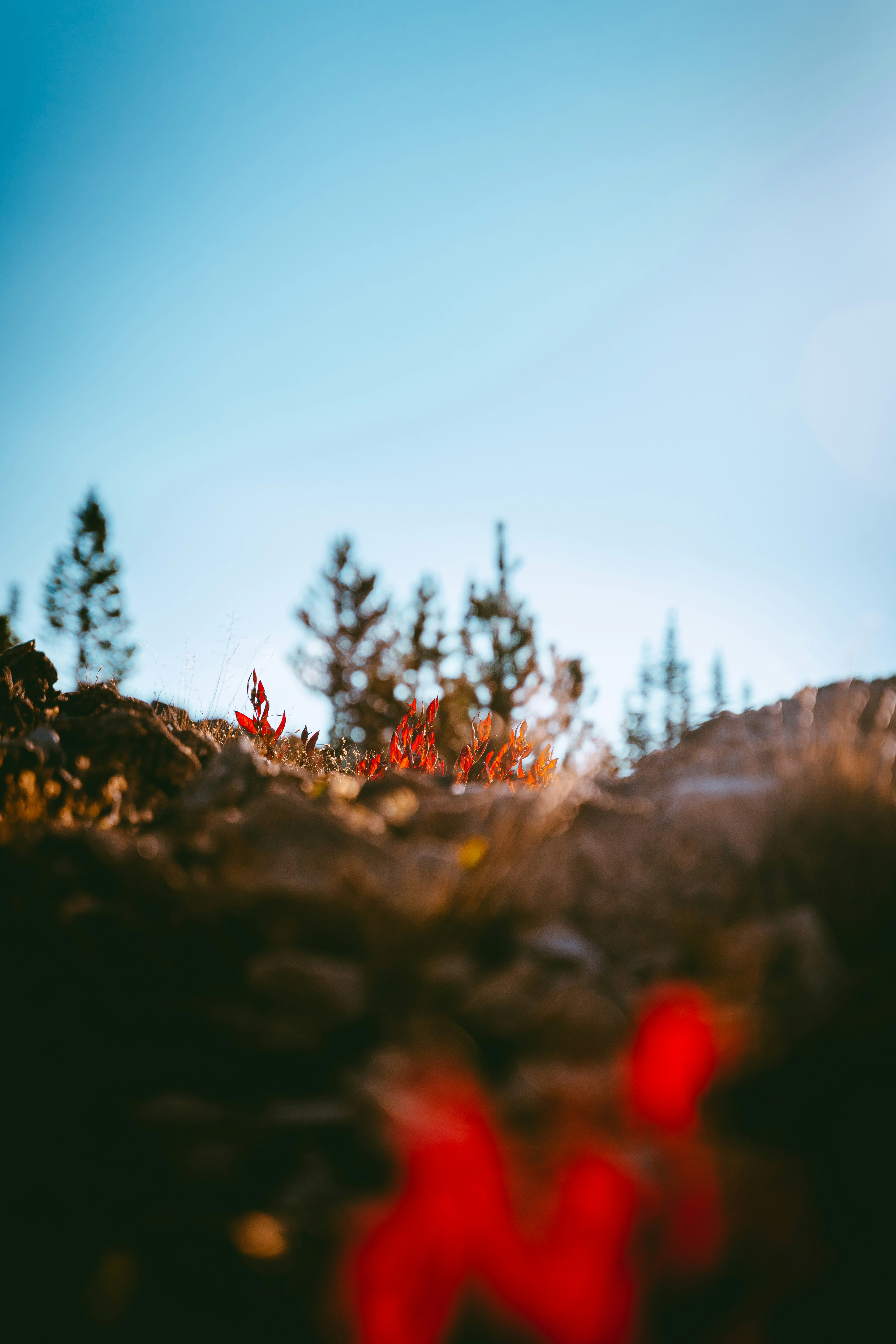 Photo by johndmurphey