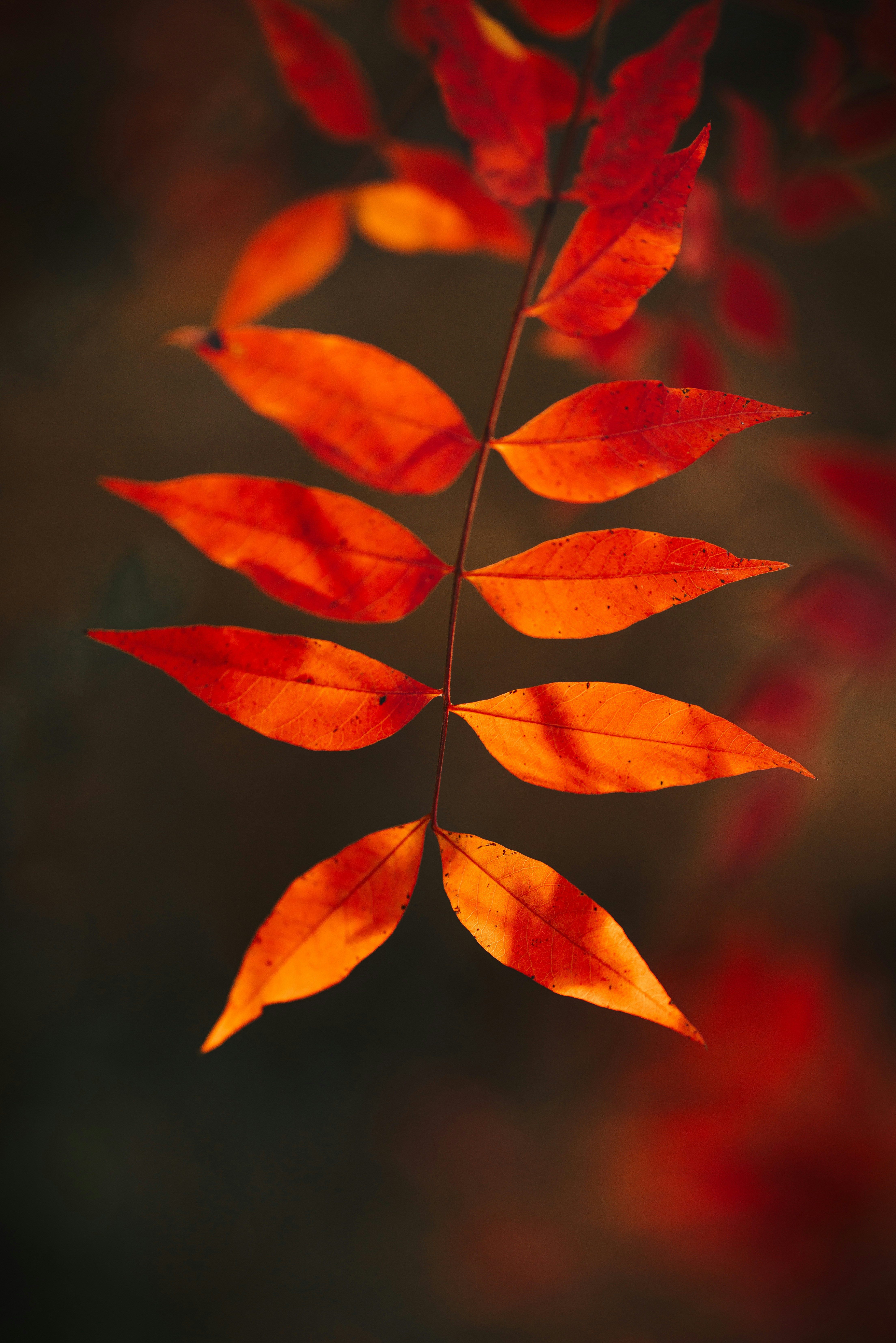 Photo by johndmurphey