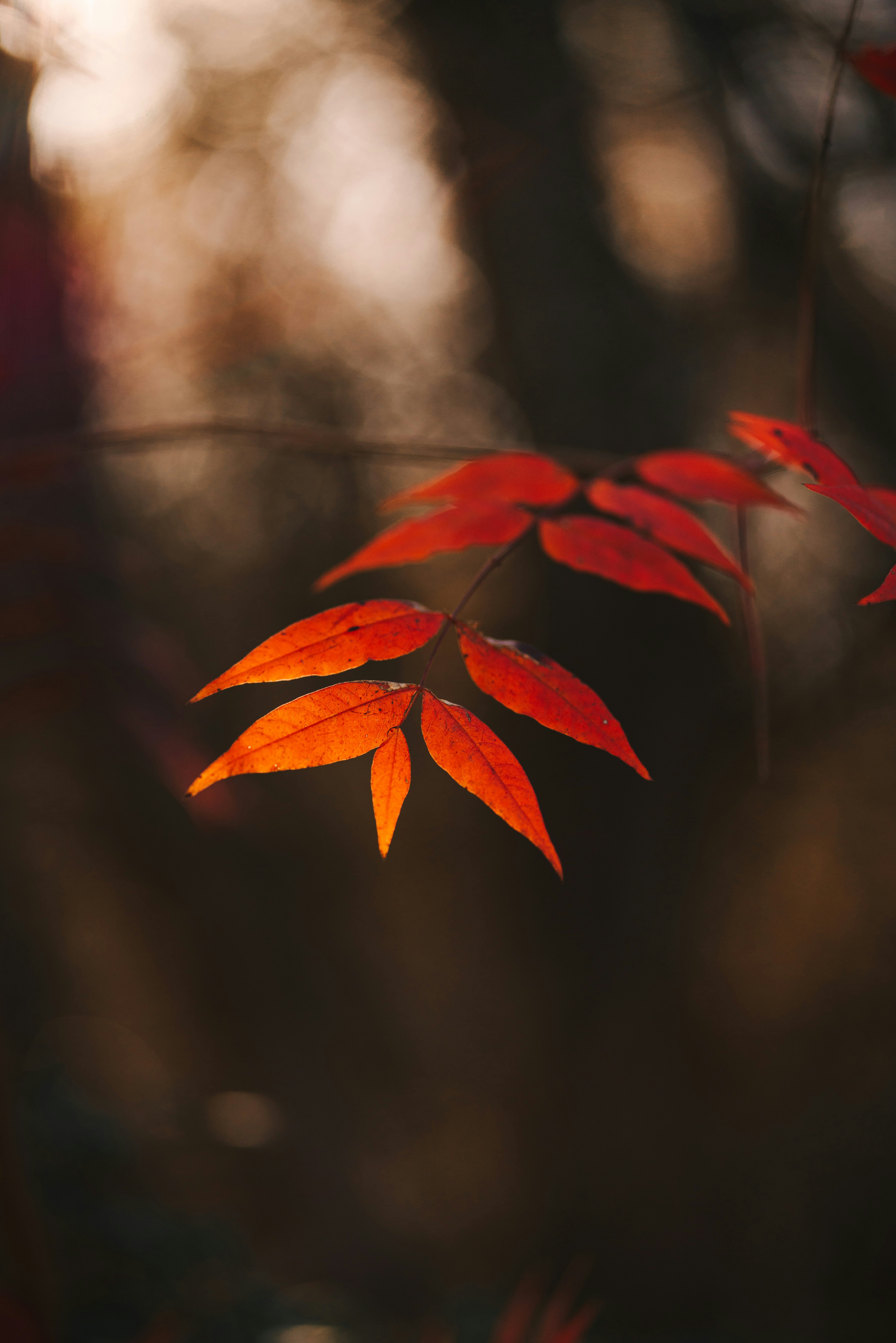 Photo by johndmurphey