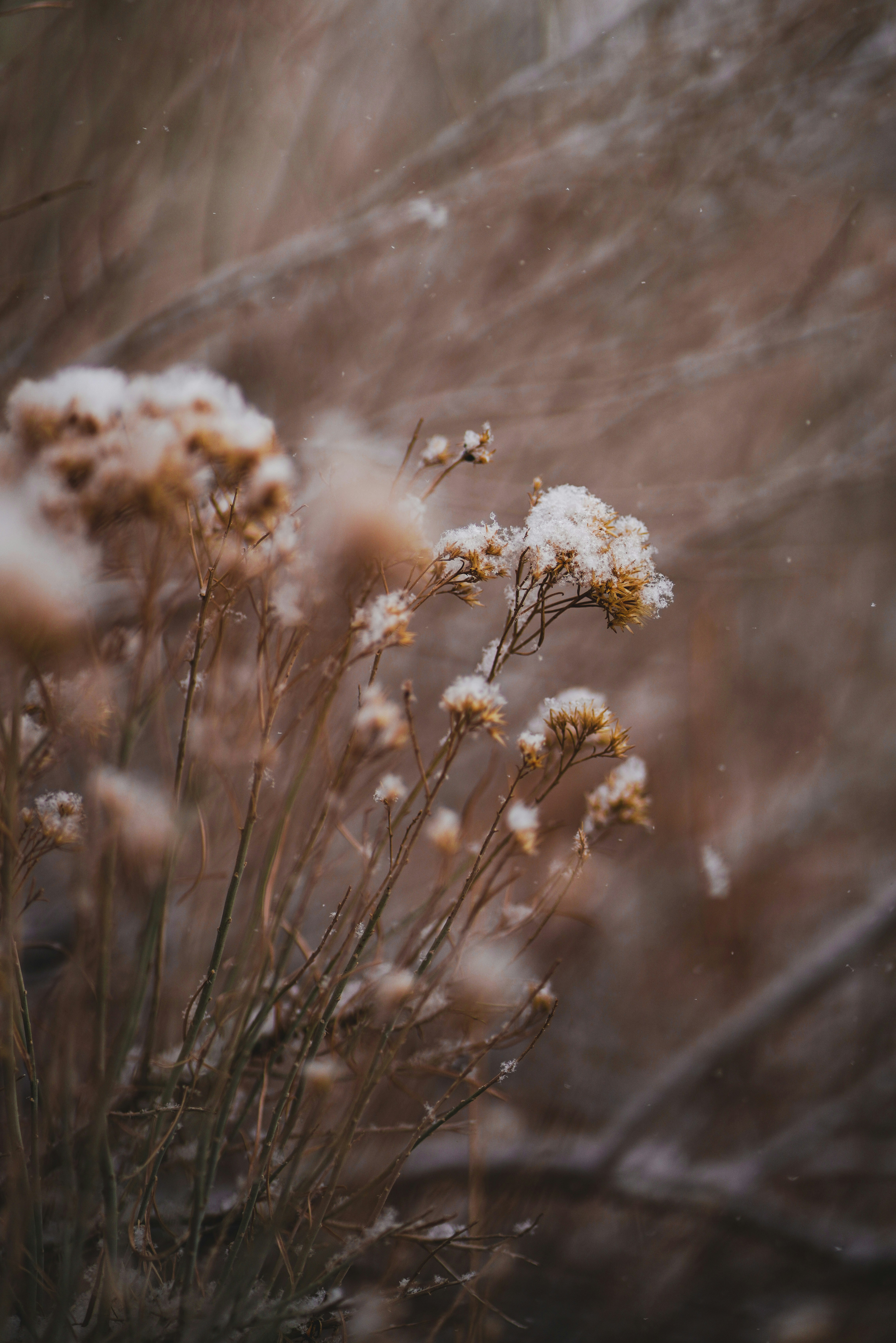 Photo by johndmurphey