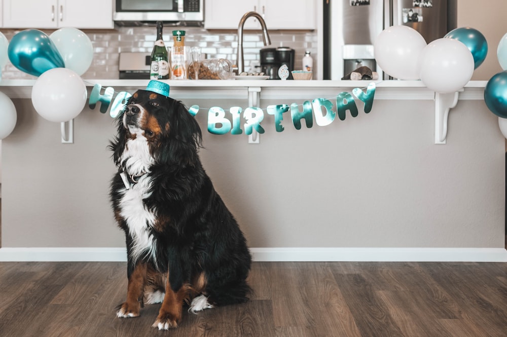 a dog sitting in front of a birthday banner