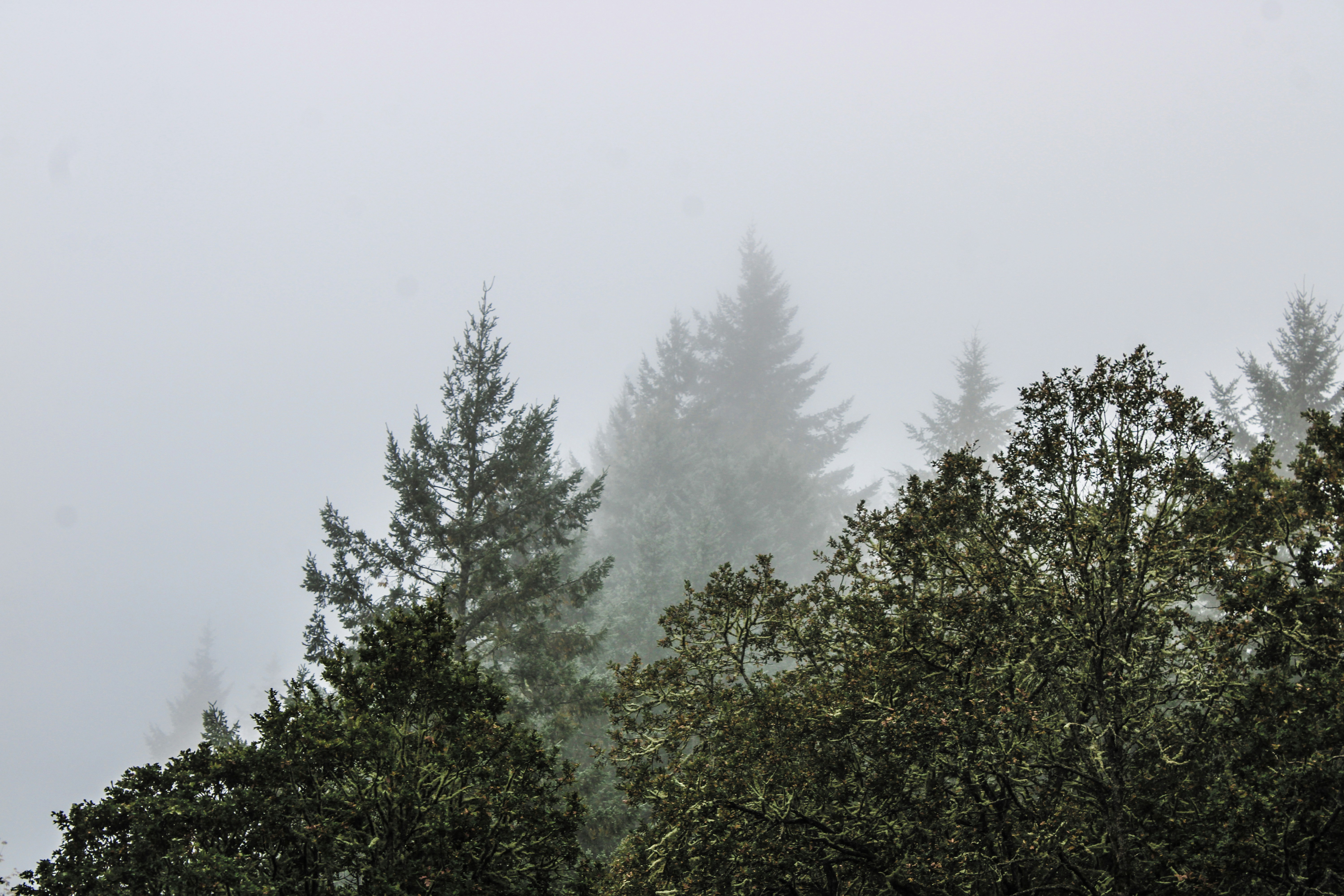 Photo by prphotography262