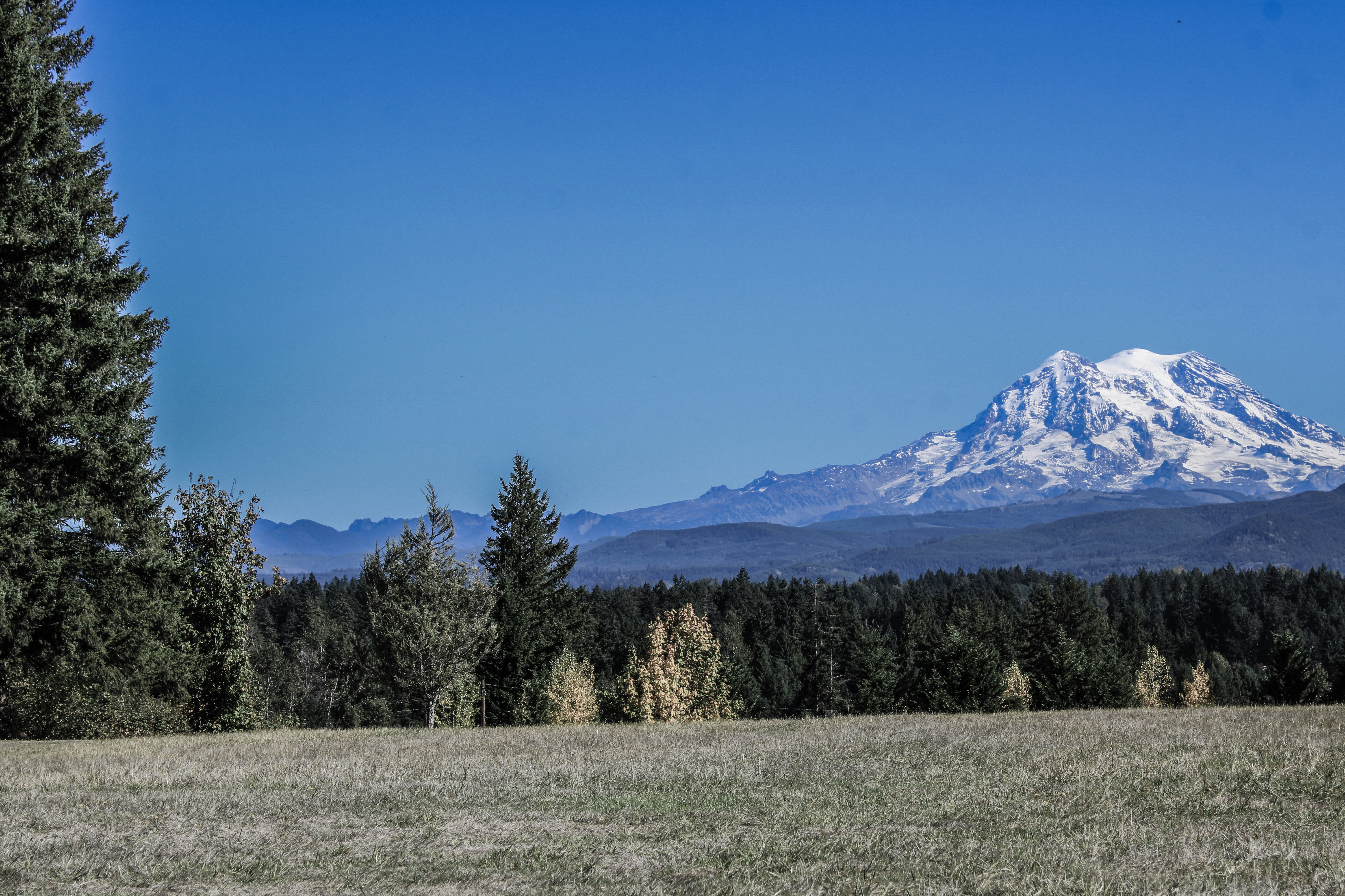 Photo by prphotography262