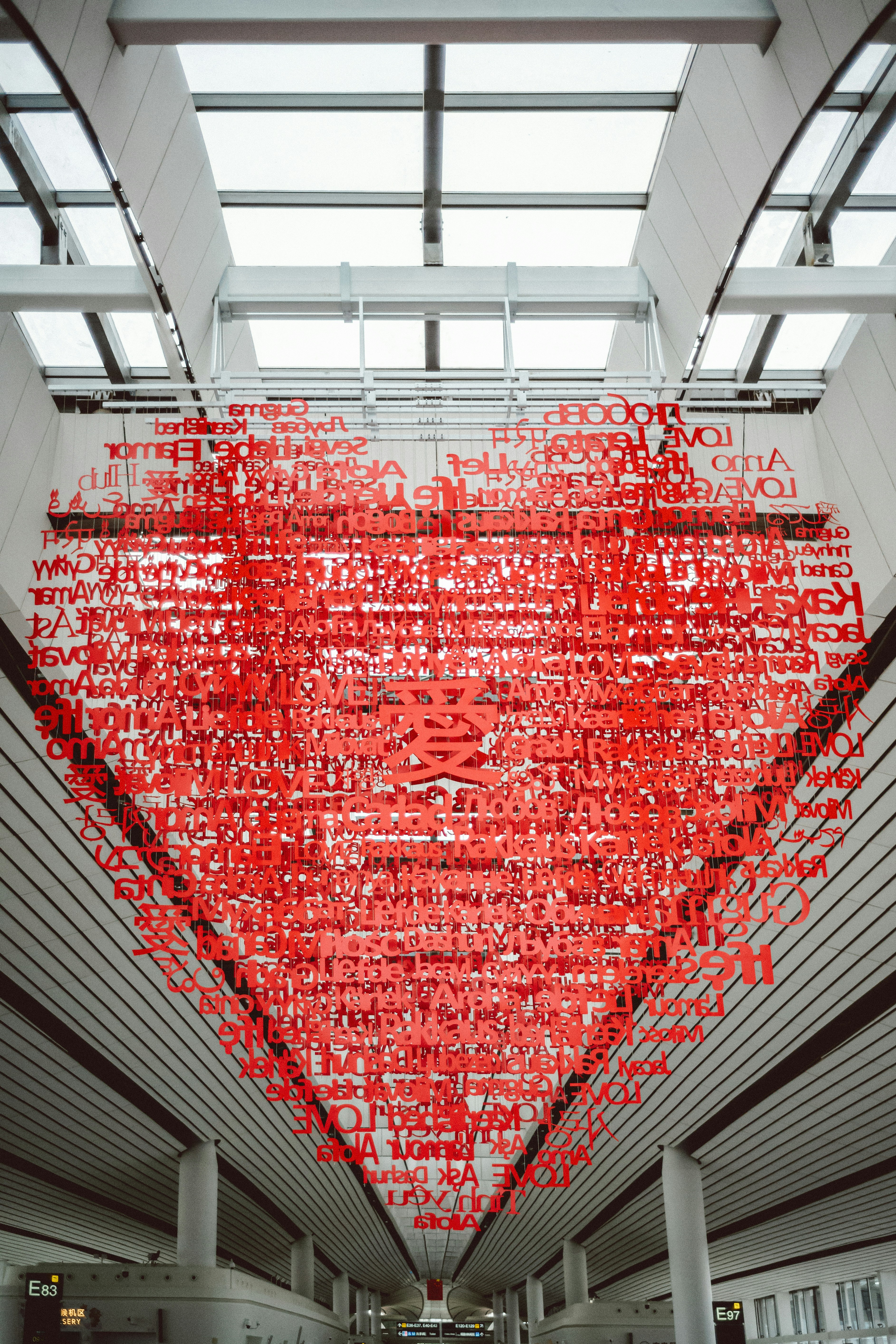 Photo by tommaomaoer