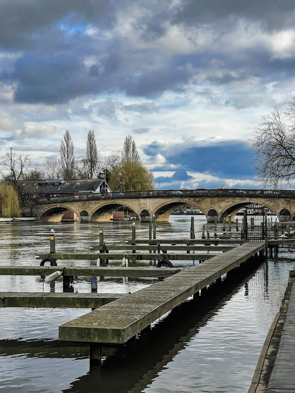 a bridge over a body of water with a train on it