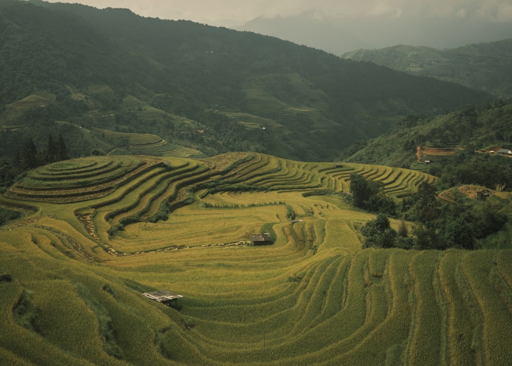 an aerial view of a rice field with mountains in the background