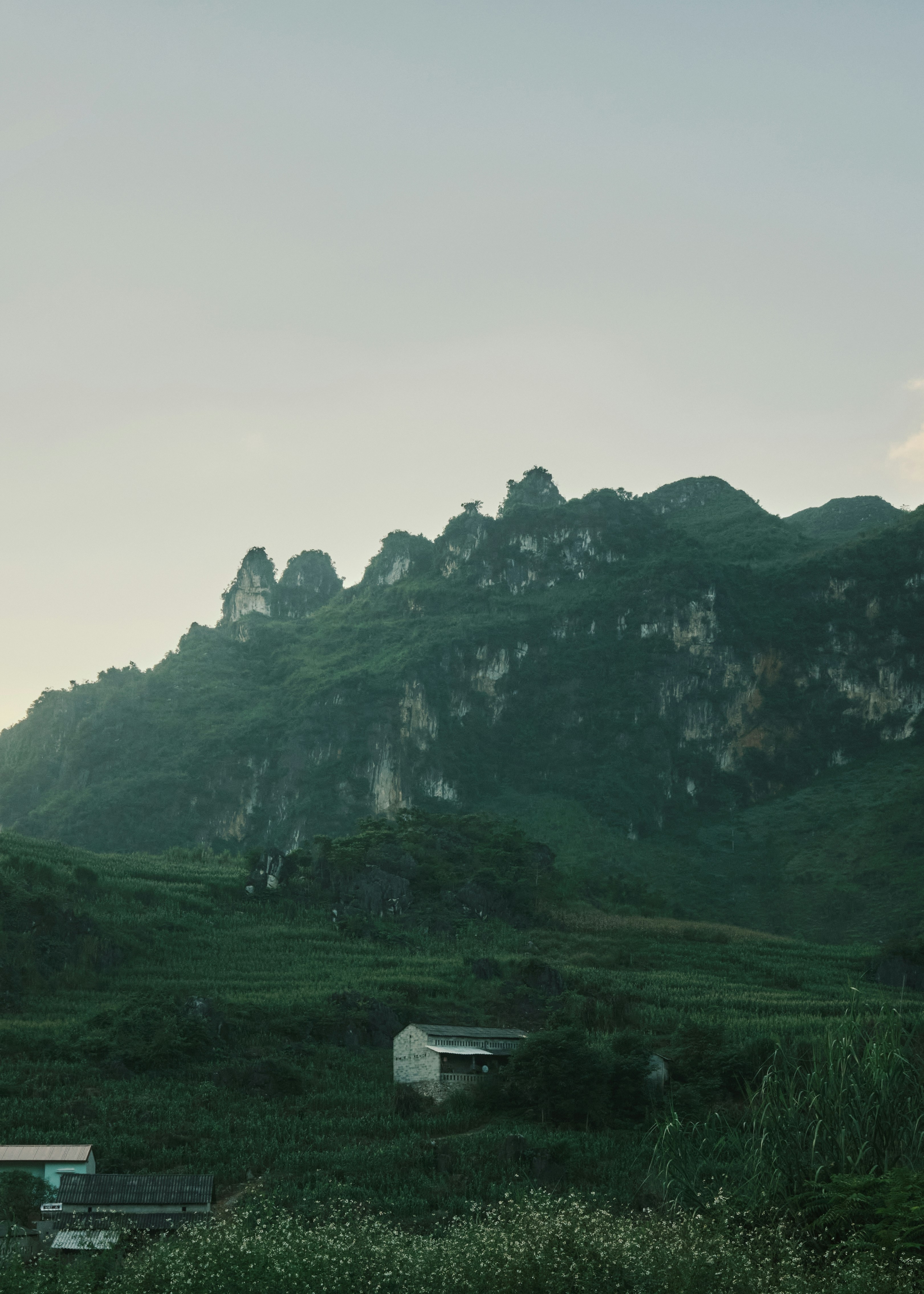 Photo by trinhhuyhung