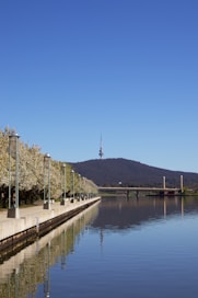 a body of water surrounded by trees and a bridge