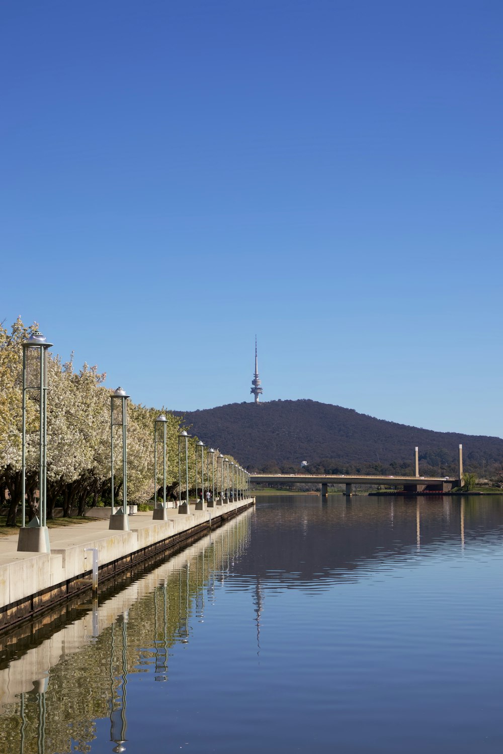 a body of water surrounded by trees and a bridge