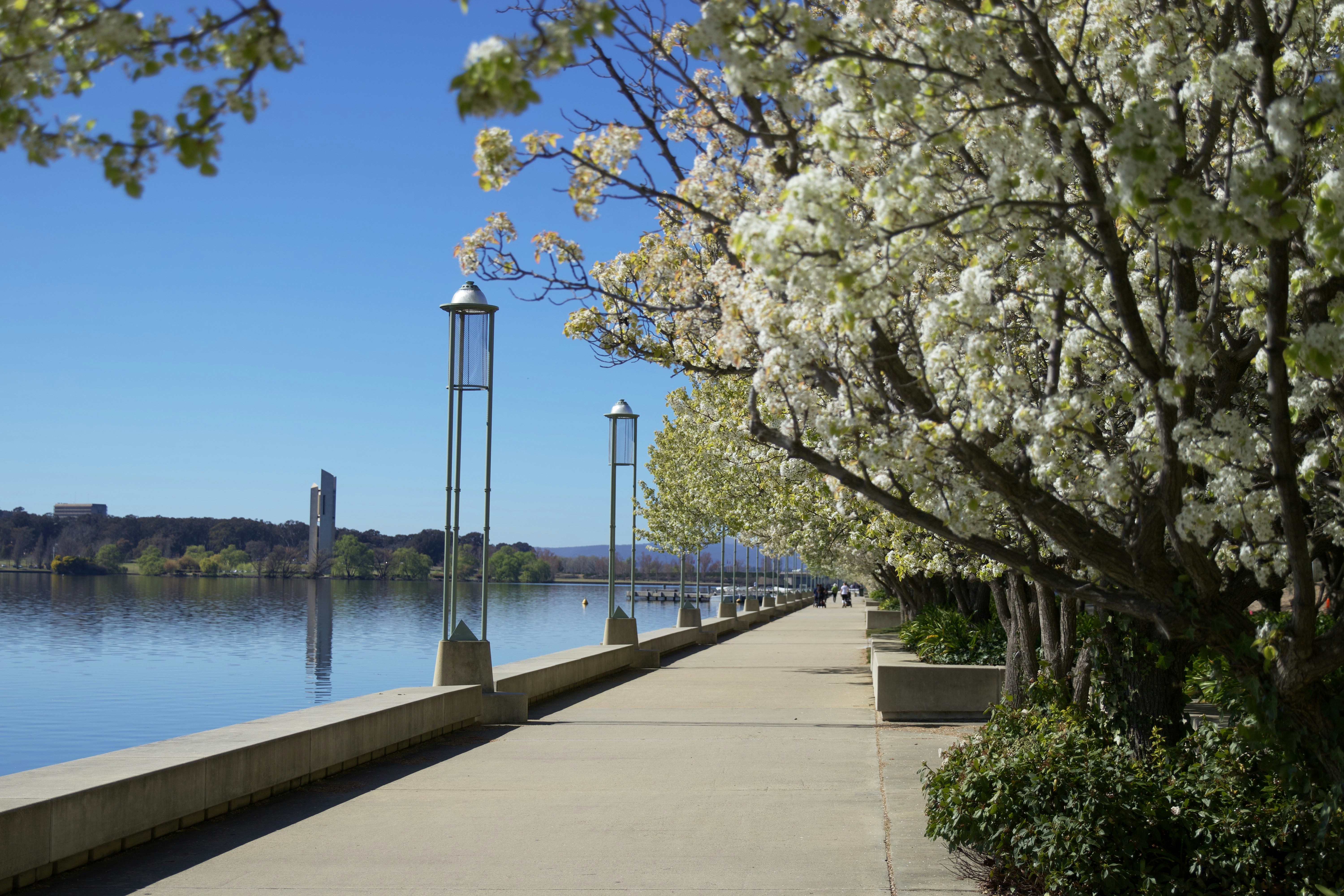 walking meditation: how to turn your daily walk into mindfulness