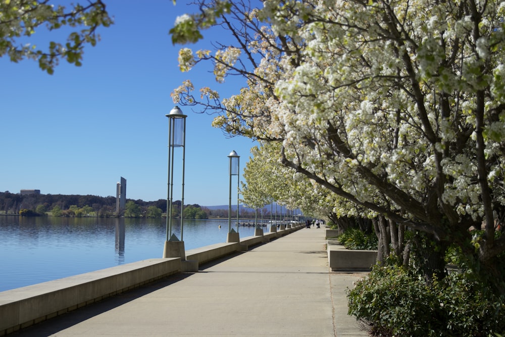 a walkway next to a body of water