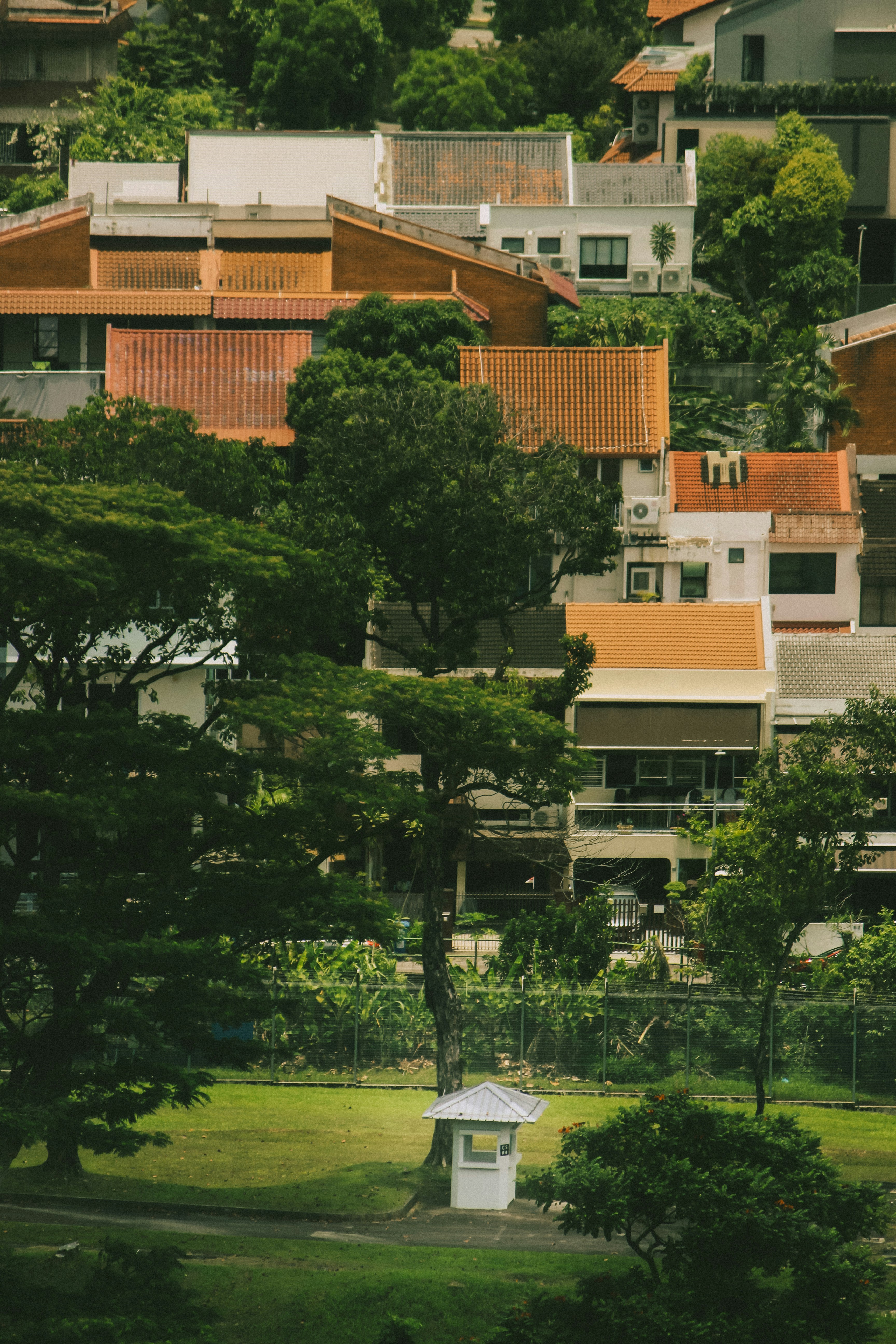 a park with trees and buildings in the background