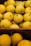 Close-up of fresh pears neatly stacked in wooden crates at a farm.