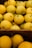Close-up of fresh pears neatly stacked in wooden crates at a farm.