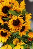 A close-up view of a vibrant bouquet of sunflowers, featuring large, bright yellow petals surrounding dark brown centers. The green leaves add contrast and depth to the composition, creating a lively and natural arrangement.