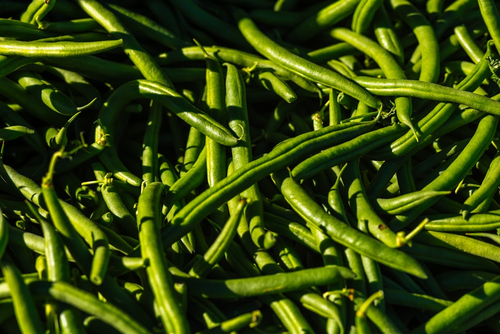 a pile of green beans sitting next to each other