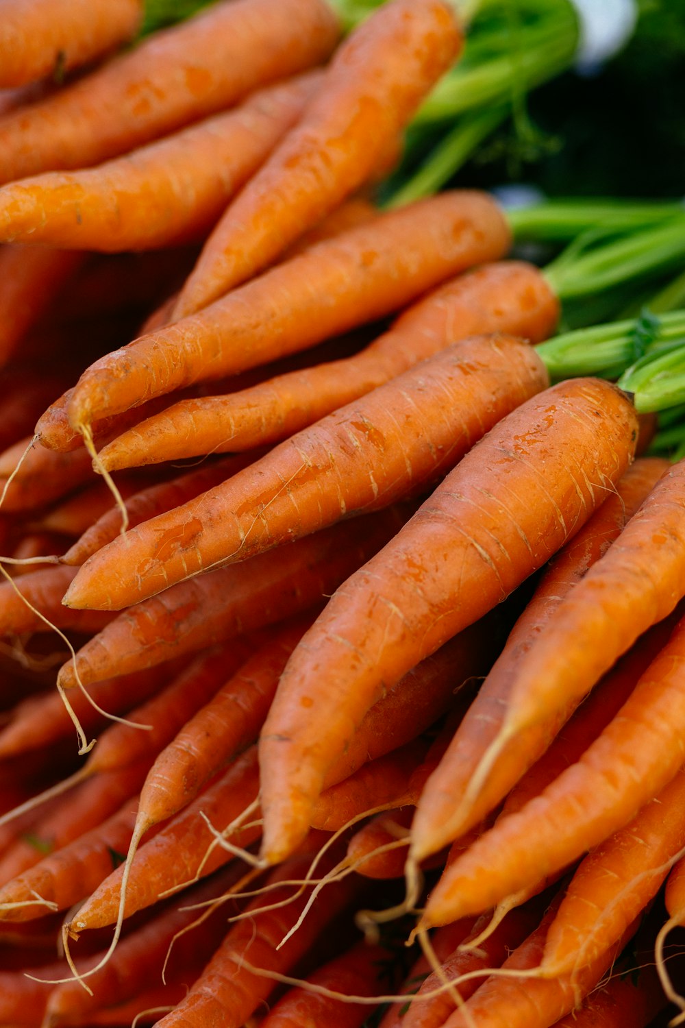 a pile of carrots sitting next to each other