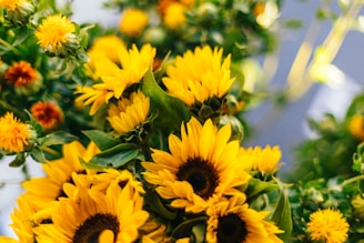 Bright sunflowers in a cheerful, sunny arrangement.