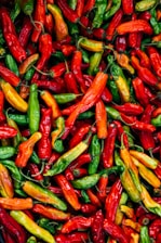 A colorful assortment of fresh Chilean peppers arranged on rustic wood.
