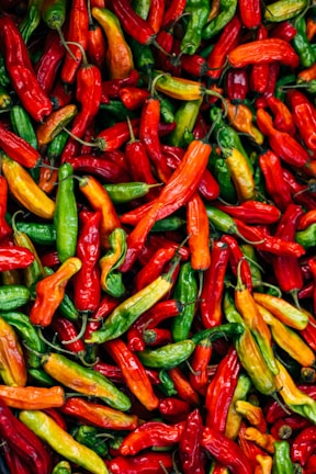 A colorful display of assorted chiles including serrano, habanero, and poblano peppers.