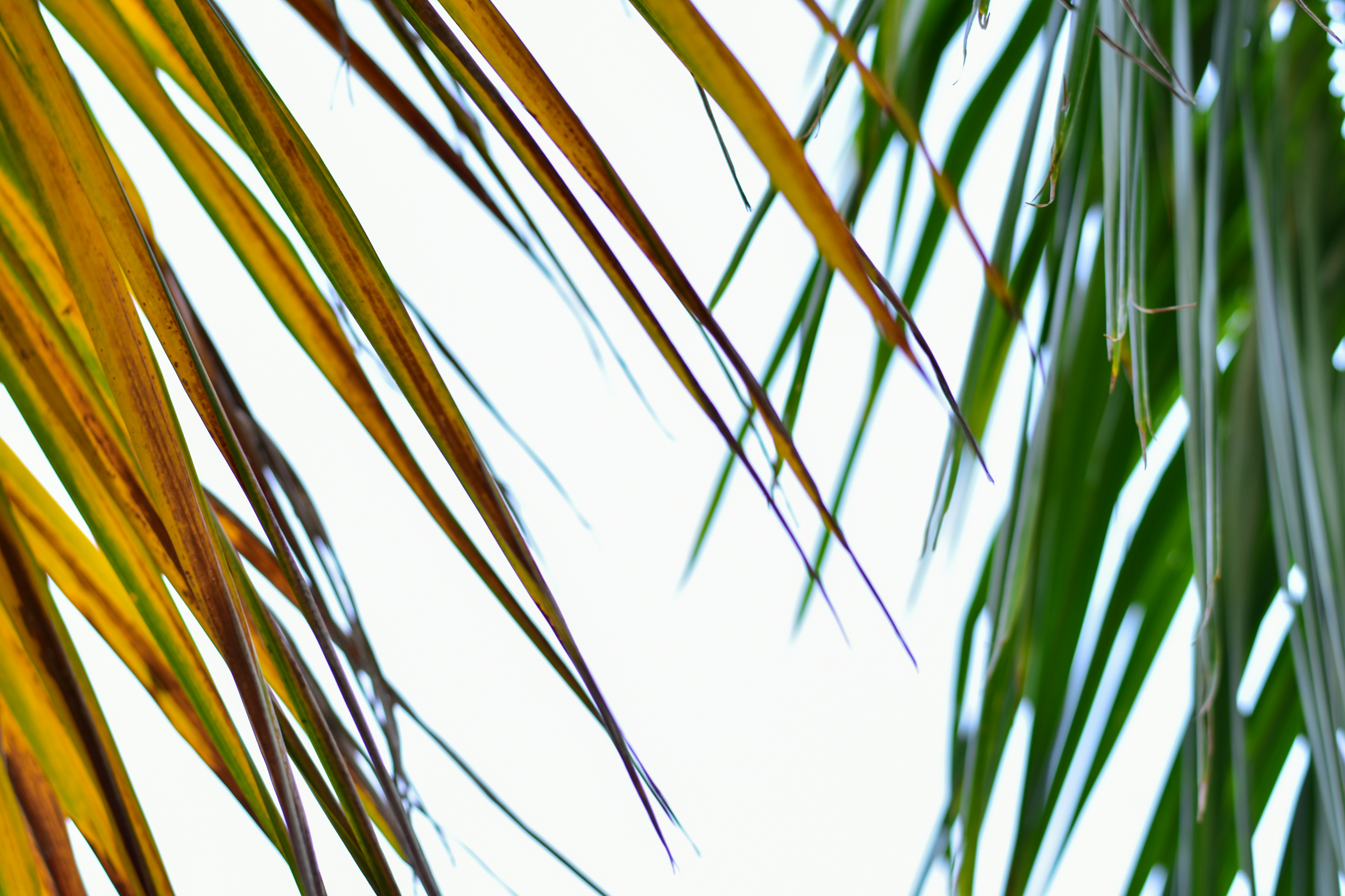 Photo by neelakshi_singh_