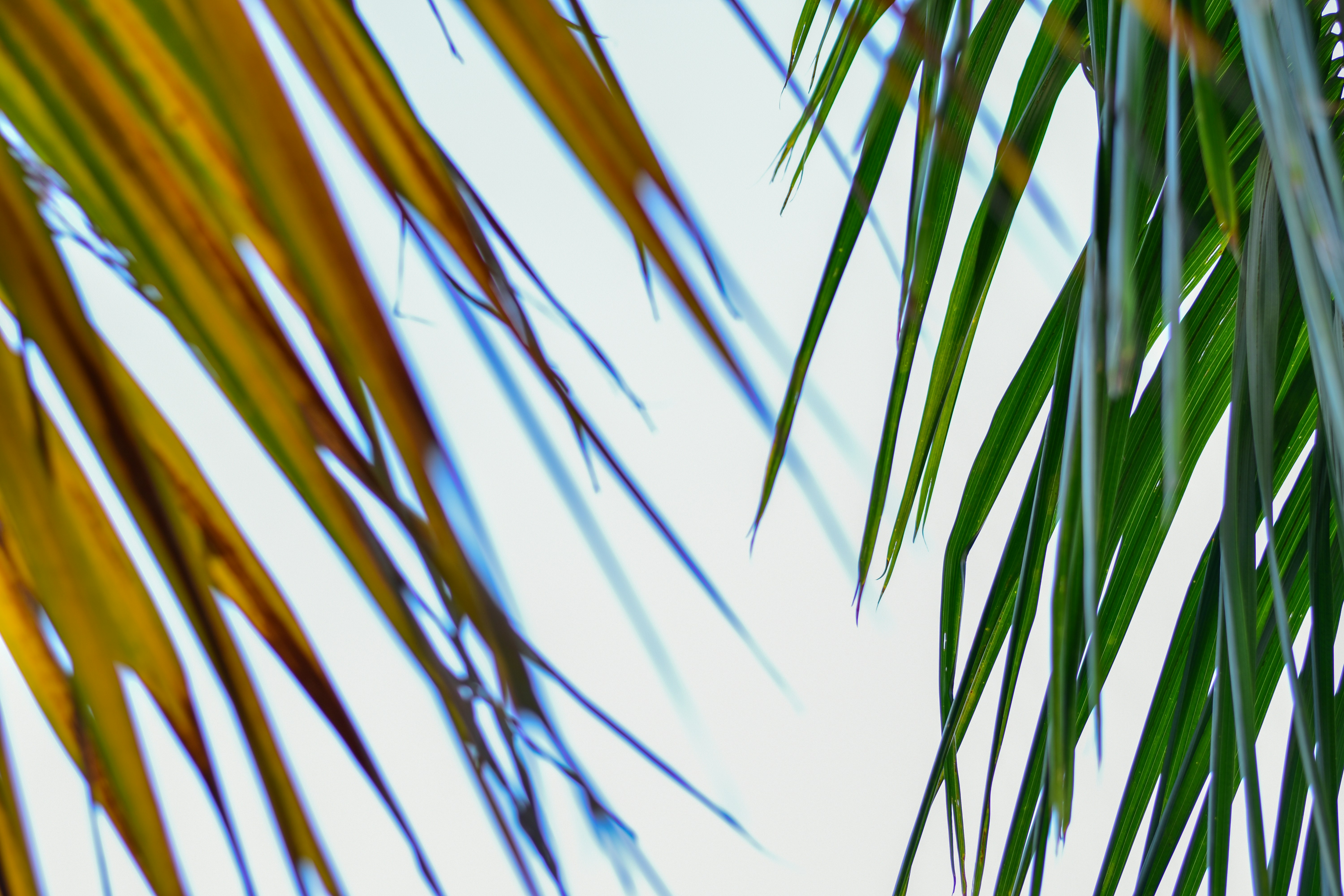 Photo by neelakshi_singh_