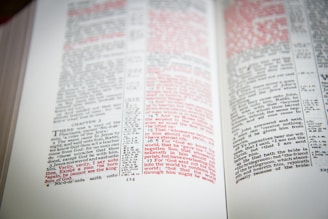 An open book displaying text with a mix of black and red ink. The pages show columns of text with some sections highlighted in red, indicating emphasis or importance.