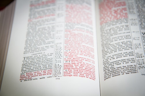 An open book displaying text with a mix of black and red ink. The pages show columns of text with some sections highlighted in red, indicating emphasis or importance.